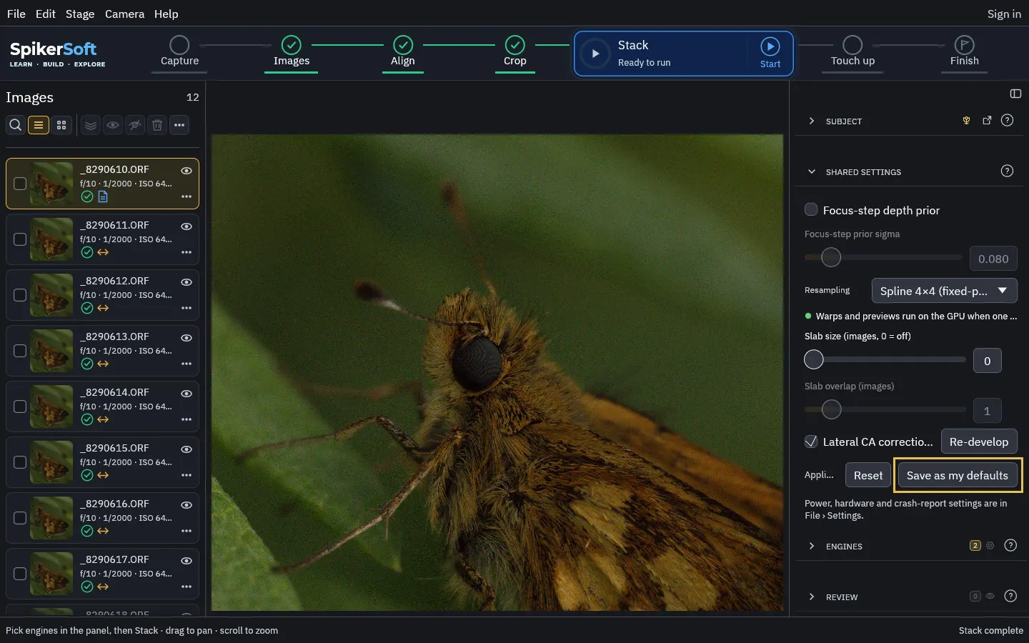 Shared settings: the depth prior, slabs, resampling, lateral CA and your defaults.